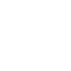 2020 GTR Logo